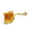 Acheter des champignons Alacabenzi