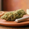 Information cannabis France