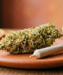 Information cannabis France