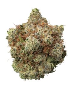 Bubble Gum Weed