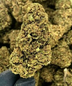 Cannatonic Weed