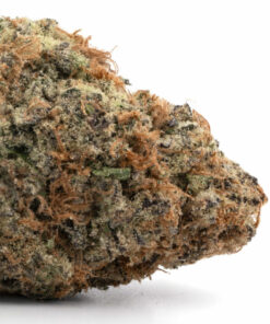 Cheese Weed