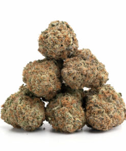 Cheese Weed