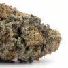 Cherry Punch Weed