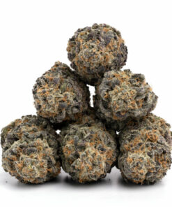 Cherry Punch Weed