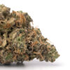 Cinderella 99 Weed