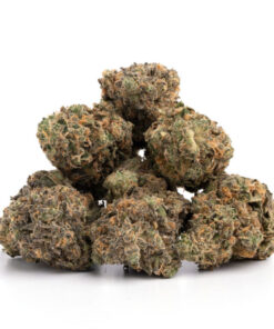 Cinderella 99 Weed