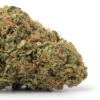 Devil’s Lettuce Weed