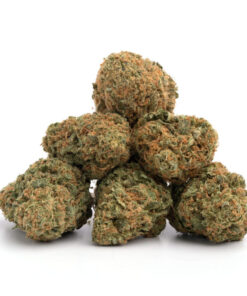 Devil’s Lettuce Weed