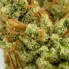 Dog walker OG