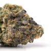 Gary Payton Weed