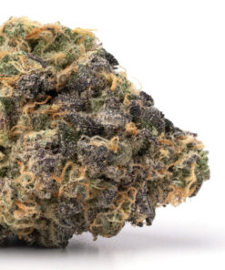 Gary Payton Weed