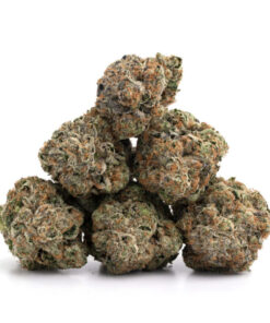 Gelato Cookies Weed
