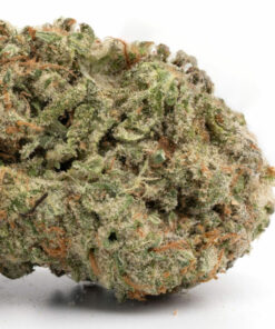 Girl Scout Cookies Weed