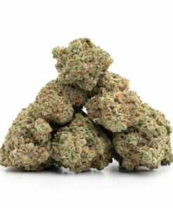 Girl Scout Cookies Weed