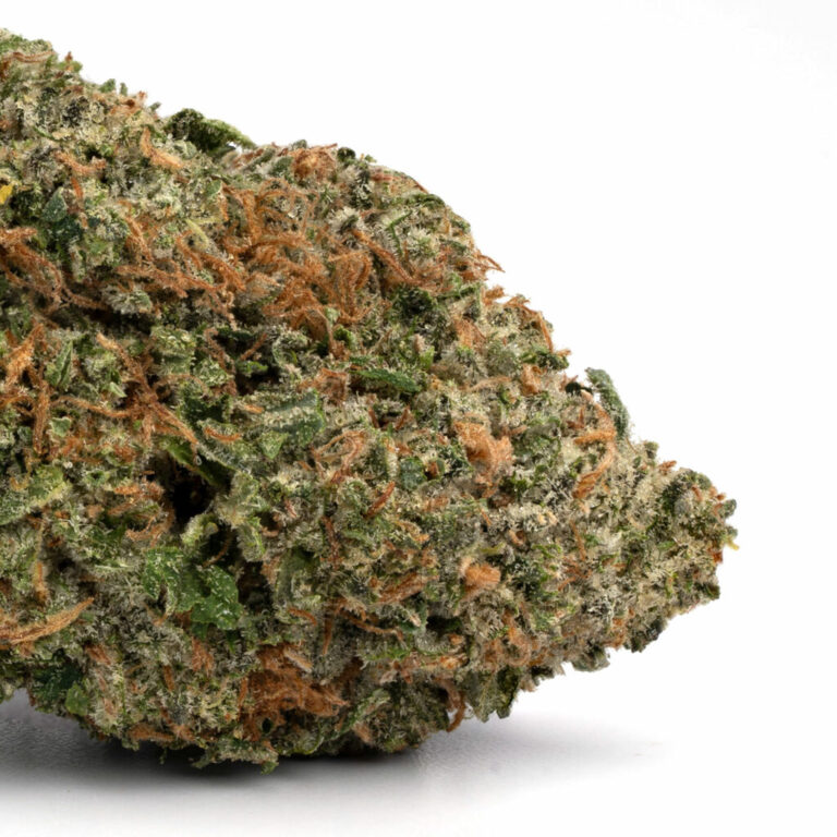 Great Glue Weed