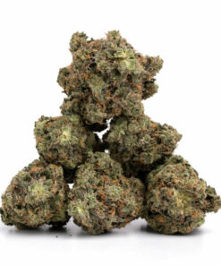 Jack Herer Weed