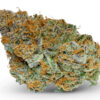 Jilly Bean Weed