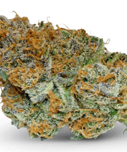 Jilly Bean Weed