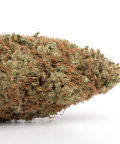Juicy Fruit Weed