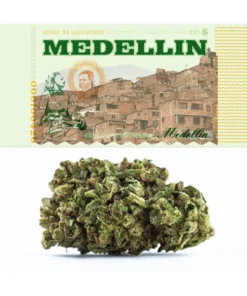 Medellin Weed