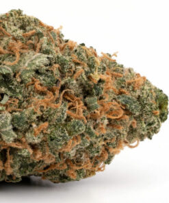 OG Weed Headband
