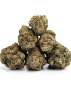 Pink Kush