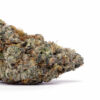 Purple Punch Weed