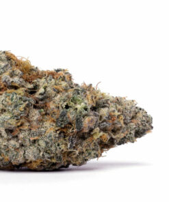 Purple Punch Weed