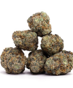 Purple Punch Weed
