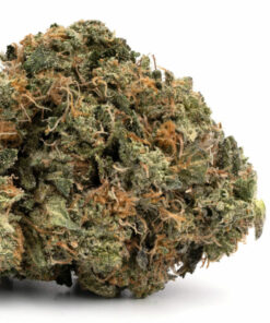 Rocket Fuel Weed