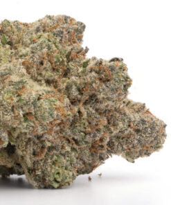 Runtz Weed