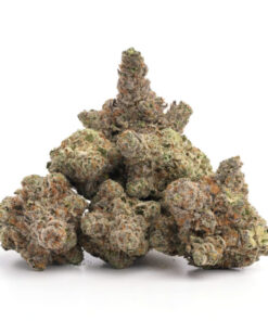 Runtz Weed