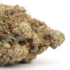 Sunset Sherbet Weed