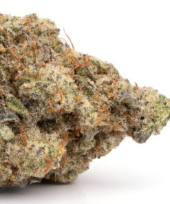 Sunset Sherbet Weed