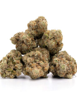 Sunset Sherbet Weed