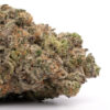 Tropical Runtz Weed
