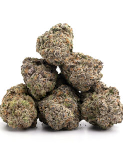 Tropical Runtz Weed