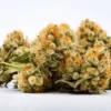 Venom OG Weed