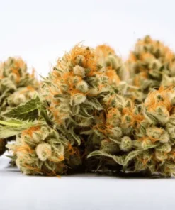 Venom OG Weed