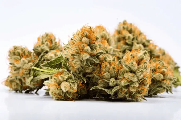Venom OG Weed