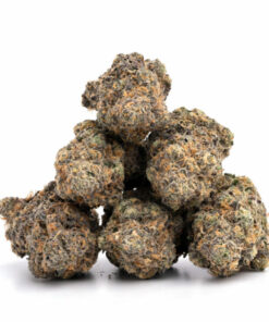 White Cookies Weed
