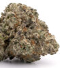 White Widow Strain