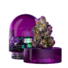 Wizard Trees Black Magic
