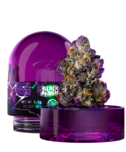 Wizard Trees Black Magic