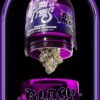 Black Magic Wizard Trees